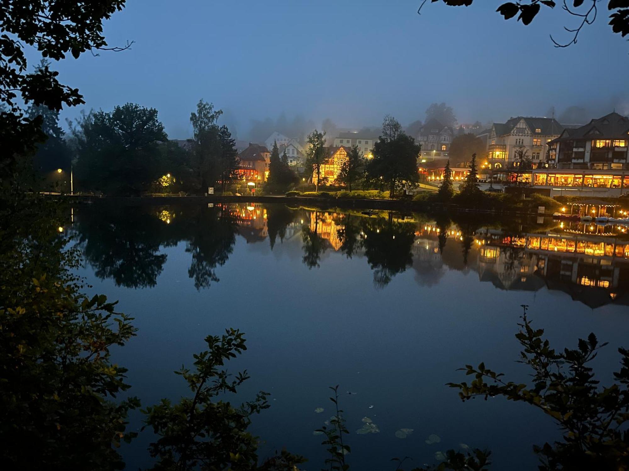 Haus Am See Bad Sachsa Eksteriør bilde