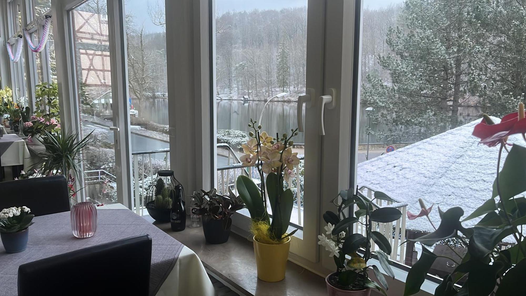 Haus Am See Bad Sachsa Eksteriør bilde
