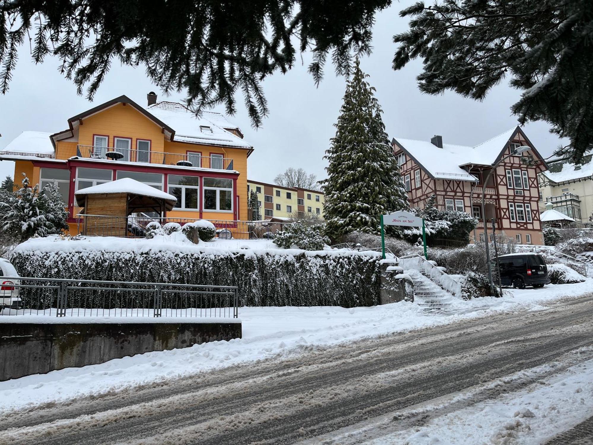 Haus Am See Bad Sachsa Eksteriør bilde
