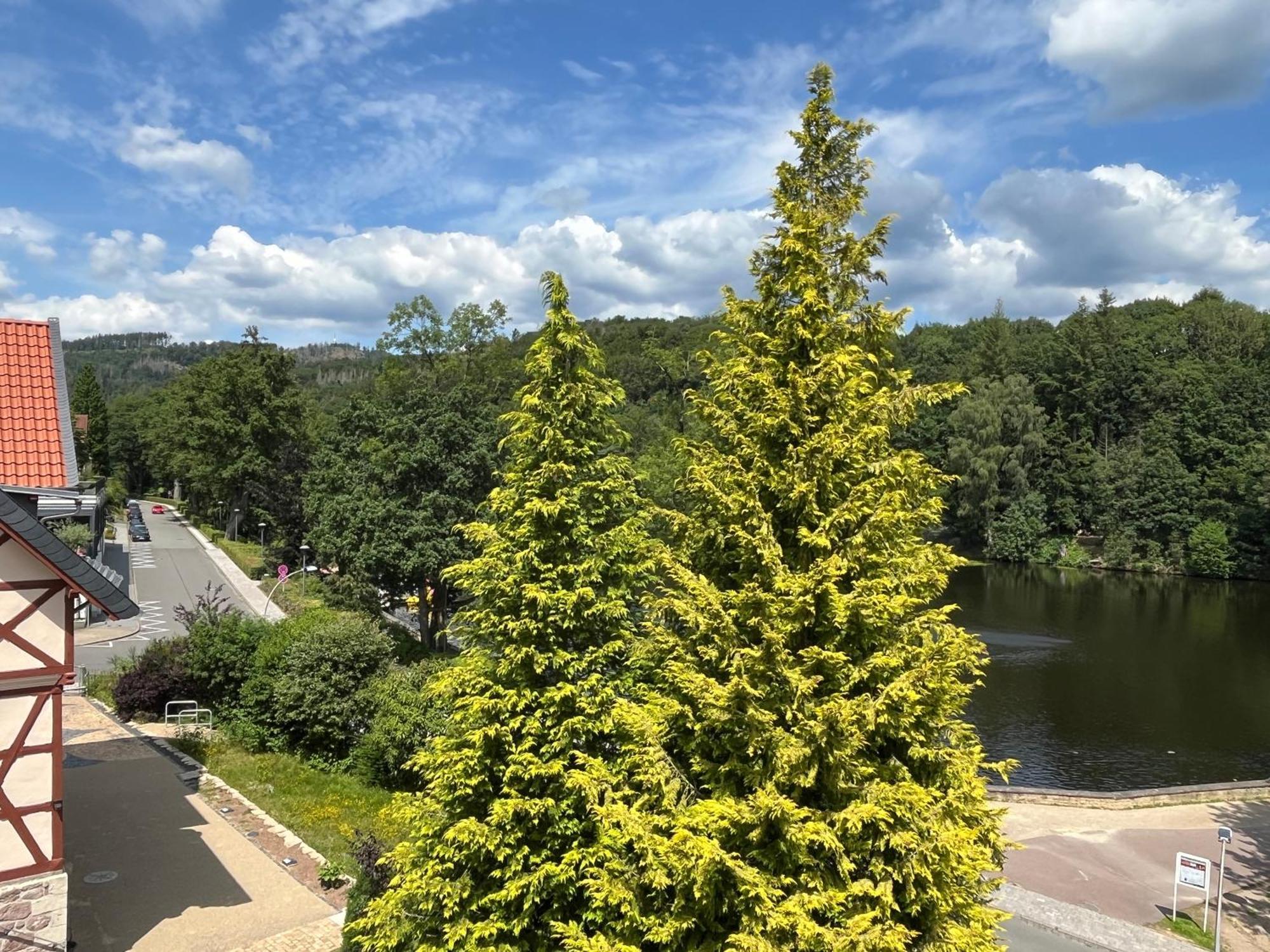 Haus Am See Bad Sachsa Eksteriør bilde